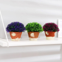 Бонсай в горшке "Самшит" 12х12 см, микс