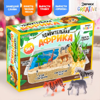 Набор для опытов «Удивительная Африка», 5 опытов в наборе Набор для опытов «Удивительная Африка», 5 опытов в наборе
