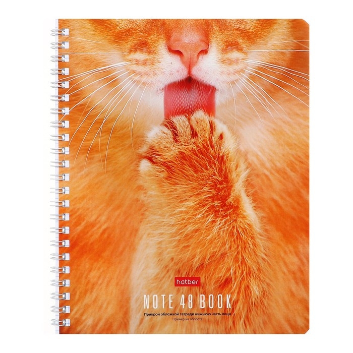 Тетрадь 48 листов, в клетку, на гребне, Тетрадь 48 листов, в клетку, на гребне, "Разбуди в себе Зверя!", обложка мелованный картон, блок офсет, МИКС