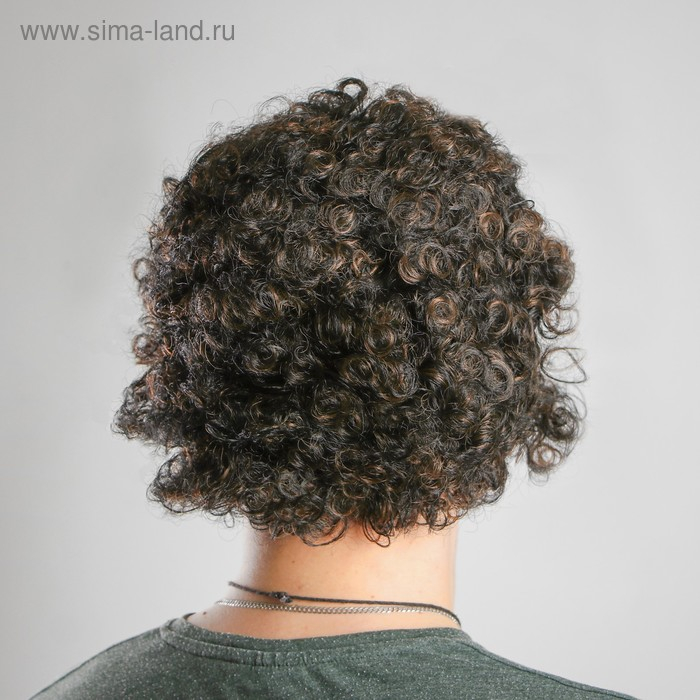 Карнавальный парик &laquo;Кудрявый&raquo;, 90 г