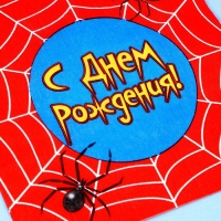 Набор для праздника &laquo;С днём рождения. Паутина&raquo;