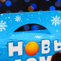 Новый год. Подарочная коробка "Чебурашка", 25 х 9,5 х 11 см.