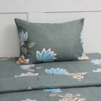 Постельное бельё 2 сп Экономь и Я "Цветочное настроение" 173*215см, 175*214см, 50*70см-2шт, 60г/м2, микрофибра