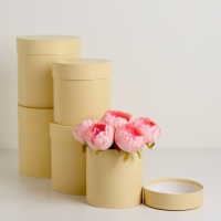 Набор круглых коробок 5в1 "Ваниль перламутровая", 20 &times; 20 ‒15 &times; 15 см