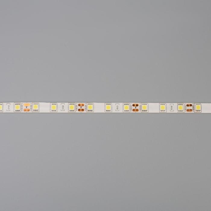 Cветодиодная лента Ecola PRO 5 м, IP65, SMD5050, 60 LED/м, 14.4 Вт/м, 12 В, 6000К