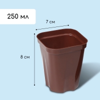 Набор для рассады: стаканы по 250 мл (6 шт.), контейнер 24 &times; 16 см, МИКС