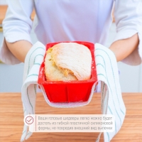 Форма для выпечки Доляна &laquo;Хлеб&raquo;, силикон, 16,5&times;8,3&times;5,3 см, внутр.размер 14,5&times;6,3&times;5,3 см, цвет красный