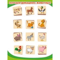 Мемори &laquo;Домашние животные&raquo; 24 деревянных элемента