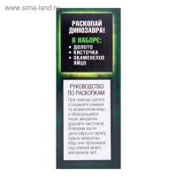 Набор археолога &laquo;Стегозавр&raquo;, серия &laquo;Окаменелое яйцо динозавра&raquo;