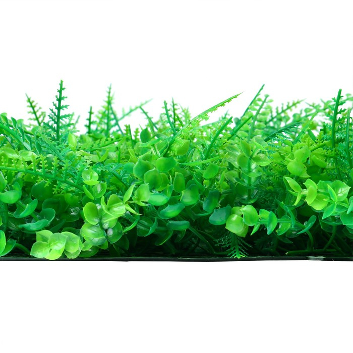 Декоративная панель, 60 &times; 40 см, &laquo;Самшит, Папоротник&raquo;, Greengo