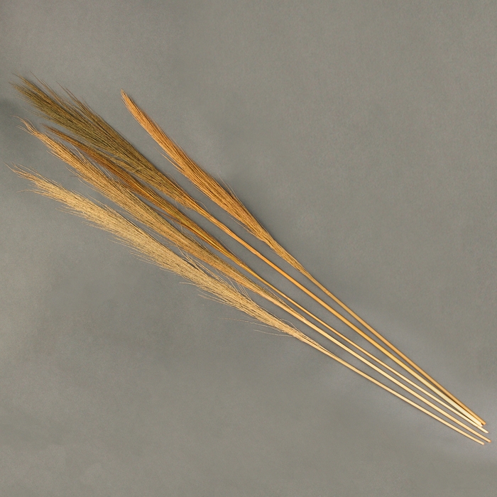 Сухоцветы для декора &laquo;Камыш&raquo;, набор 5 шт. 113 &times; 5 &times; 5 см