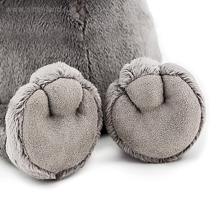 Мягкая игрушка &laquo;Енотик Дэнни&raquo;, в бабочке, 25 см