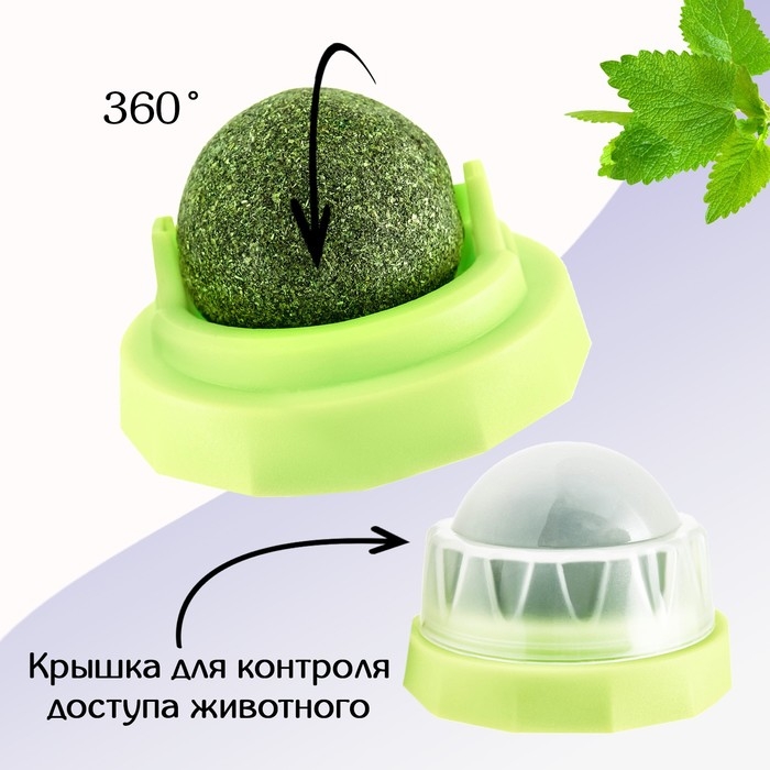 Игрушка для кошек из кошачьей мяты Игрушка для кошек из кошачьей мяты "Вращающийся шарик" на основании, 5 х 4 см, зелёная