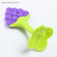 Прорезыватель силиконовый &laquo;Виноградик&raquo;, на ножке, Крошка Я