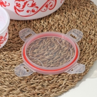 Набор ланч-боксов пластиковых круглых «Веточка», 4 шт: 0,25 л, 0,55 л, 1,05 л, 1,8 л Набор ланч-боксов пластиковых круглых «Веточка», 4 шт: 0,25 л, 0,55 л, 1,05 л, 1,8 л