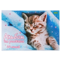 Альбом для рисования А4, 20 листов, на скрепке, "Ассорти" Выпуск №4, обложка офсетная бумага, блок 100 г/м2, МИКС