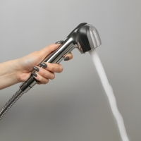 Душевая лейка Accoona A328, 2 режима, корпус пластик, цвет хром