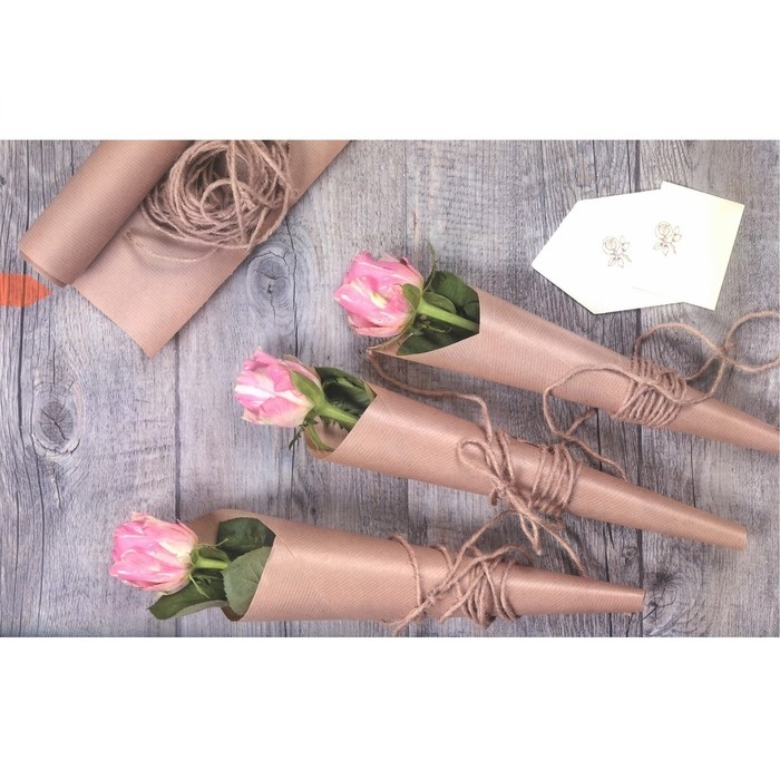 Бумага упаковочная крафт без печати, 70 г/м&sup2; , 0,70 х 10 м