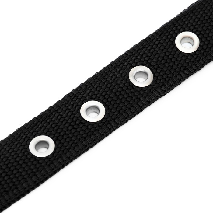 Ошейник "Комфорт" комбинированный, 55 х 2,5 см, ОШ 40-50 см, чёрный