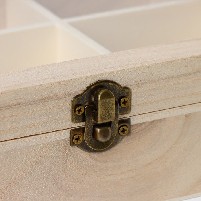 Ящик для хранения чайных пакетиков Доляна &laquo;Ахмадабад&raquo;, 9 ячеек, 24&times;17,3&times;6,5 см