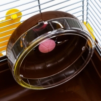 Клетка для грызунов "Пижон", 31 х 24 х 30 см, коричневая Клетка для грызунов "Пижон", 31 х 24 х 30 см, коричневая