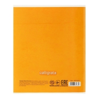 Тетрадь 96 листов в клетку Calligrata "Смайлики", обложка мелованный картон, блок офсет, МИКС Тетрадь 96 листов в клетку Calligrata "Смайлики", обложка мелованный картон, блок офсет, МИКС