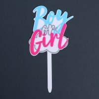 Гендер-пати. Топпер акрил Boy or Girl Гендер-пати. Топпер акрил Boy or Girl