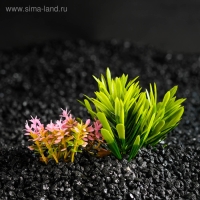 Растение искусственное аквариумное на подставке под камень, 14 х 11 х 7 см Растение искусственное аквариумное на подставке под камень, 14 х 11 х 7 см