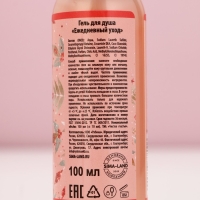 Подарочный набор косметики новогодний &laquo;Верь в мечту!&raquo;, гель для душа и пена для ванны, 2 х 100 мл, Новый Год