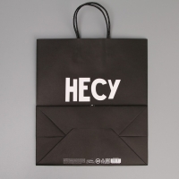 Пакет подарочный крафтовый, упаковка, &laquo;Неси неси&raquo;, 28 х 32 х 15 см