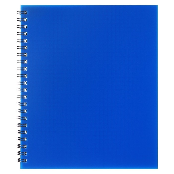 Тетрадь на гребне A5 48 листов в клетку Calligrata Синяя, пластиковая обложка, блок офсет Тетрадь на гребне A5 48 листов в клетку Calligrata Синяя, пластиковая обложка, блок офсет