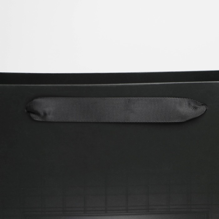 Пакет подарочный ламинированный вертикальный, упаковка, &laquo;Go hard&raquo;, L 31 х 40 х 11,5 см