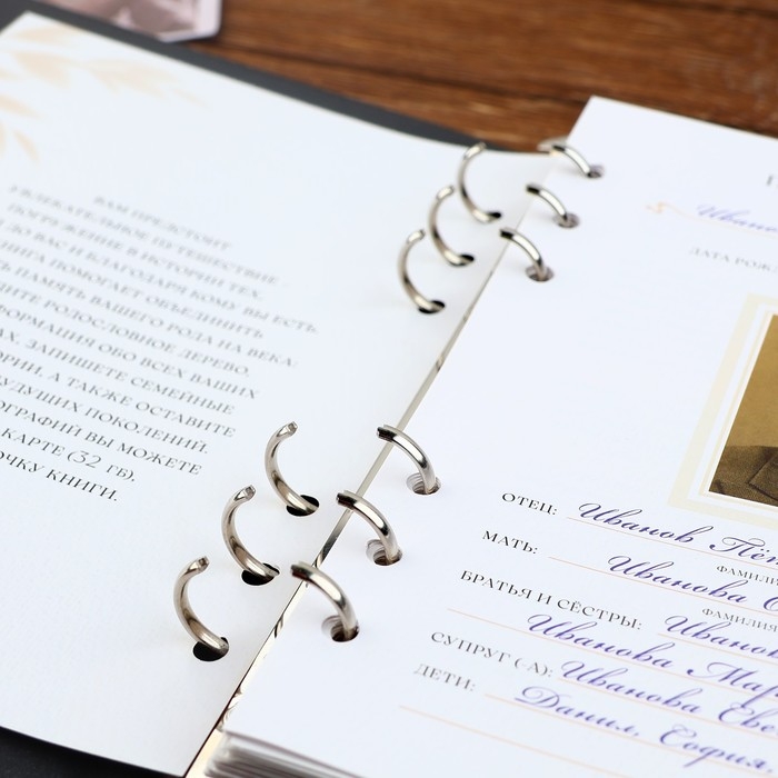 Родословная книга со встроенной флешкой 16 Gb &laquo;Семейная летопись&raquo;, 17,5 х 23 см..