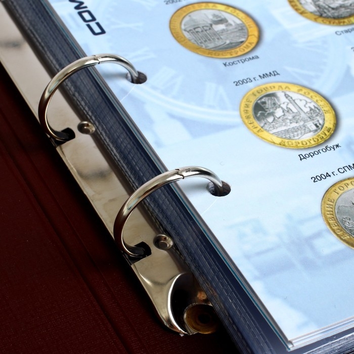 Альбом для монет Альбом для монет "Стандарт. Юбилейные 10-ти рублевые монеты России", 230 х 270 мм, Optima, коричневый