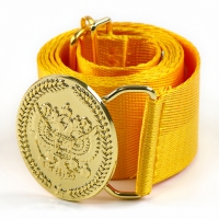 Карнавальный набор &laquo;Храбрый офицер&raquo;, аксельбант, пояс, золотой