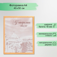 Фоторамка сосна янтарь 1/1 40х50 см Фоторамка сосна янтарь 1/1 40х50 см