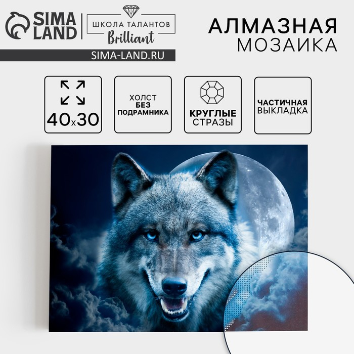 Алмазная мозаика с частичным заполнением на холсте «Магия волка», 30 х 40 см Алмазная мозаика с частичным заполнением на холсте «Магия волка», 30 х 40 см