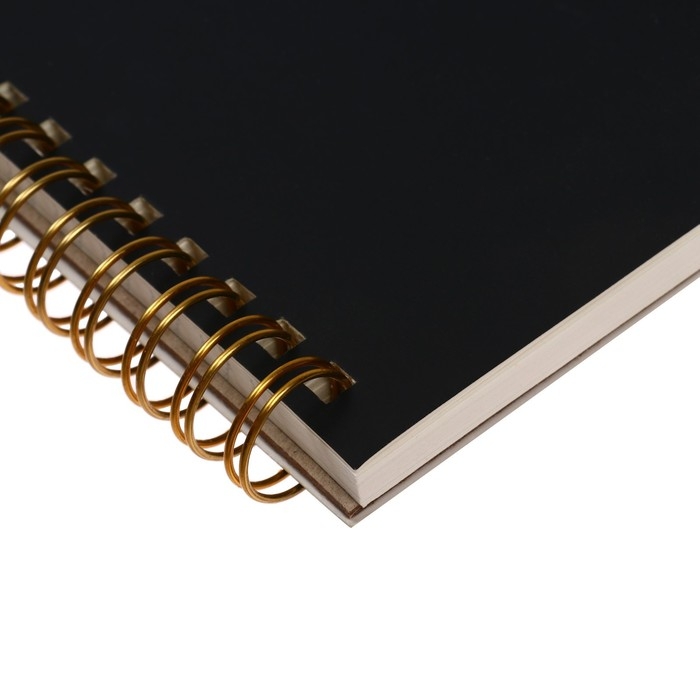 Тетрадь В5, 60 листов в клетку на гребне SORRY, на твёрдой подложке, обложка картон, ламинация Soft Touch, тиснение фольгой, блок 70 г/м2