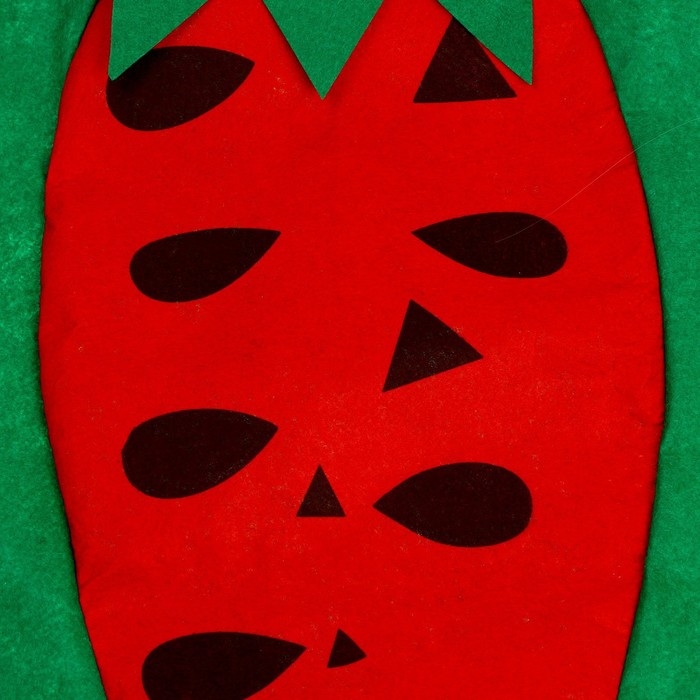 Карнавальный набор &laquo;Забавный арбуз&raquo;, фетр