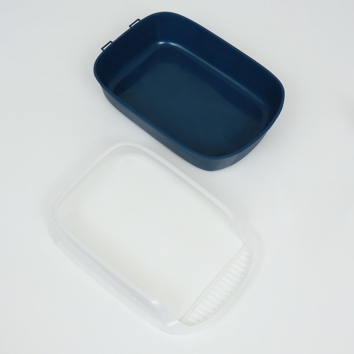 Туалет с бортом, 50х35х18 см, синий