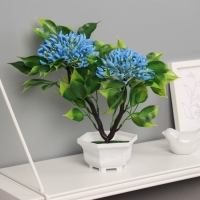 Бонсай в горшке "Ашока комнатная" 23х11 см, микс Бонсай в горшке "Ашока комнатная" 23х11 см, микс