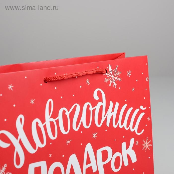 Пакет ламинированный горизонтальный &laquo;Новогодний подарок&raquo;, MS 23 х 18 х 8 см, Новый год