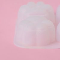 Молд Доляна «Лапки», силикон, 9,5×9×2,5 см, ячейка 4×4 см, цвет белый Молд Доляна «Лапки», силикон, 9,5×9×2,5 см, ячейка 4×4 см, цвет белый