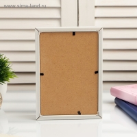 Копилка интерьерная пластик "Кактусы и полоски" 17х12х3,8 см