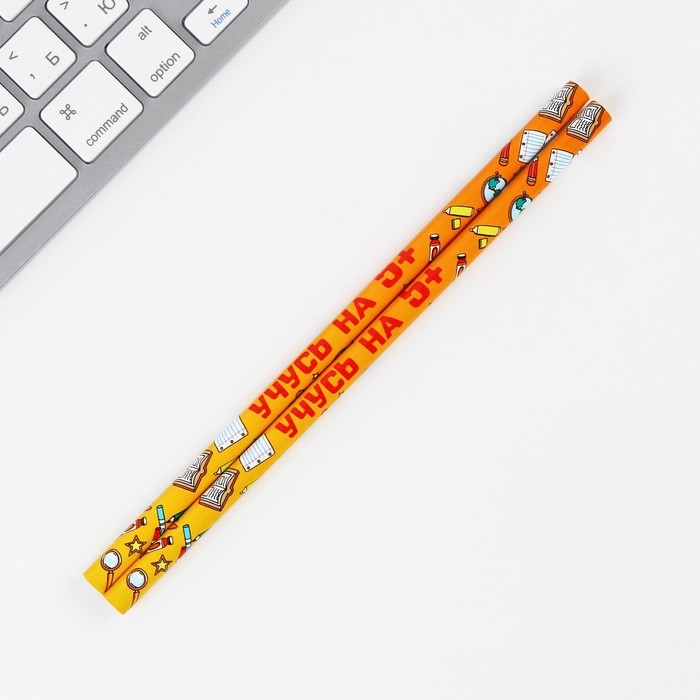 Подарочный набор на выпускной &laquo;Выпускник начальной школы&raquo; 4 предмета