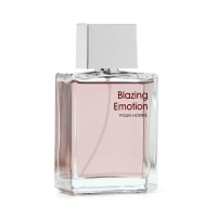 Туалетная вода мужская Blazing Emotion, 110 мл Туалетная вода мужская Blazing Emotion, 110 мл