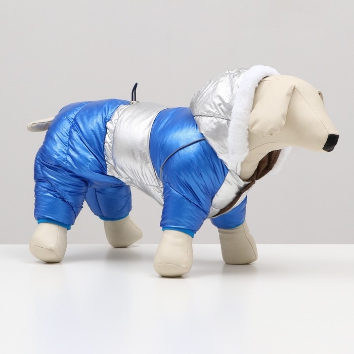 Комбинезон Комбинезон "Блик" с утяжкой, размер 10 (ДС 25 см, ОГ 34 см, ОШ 24 см), серебряно-синий