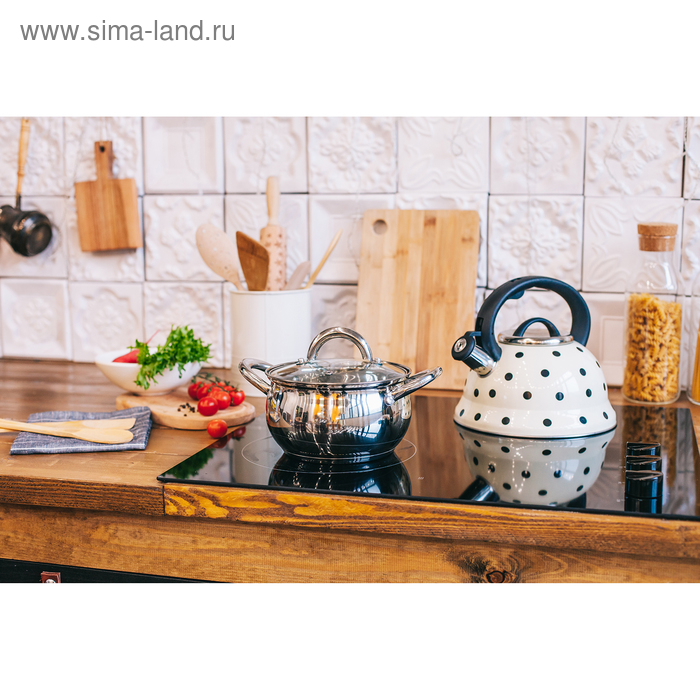 Чайник со свистком из нержавеющей стали Доляна &laquo;Горошек&raquo;, 2,8 л, цвет айвори