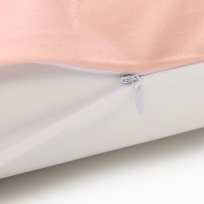 Новый год. Символ года. Змея. Чехол на подушку Этель &laquo;Селеба&raquo; 40х40 см, велюр