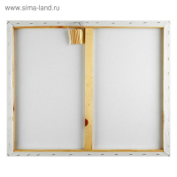 Холст на подрамнике, хлопок 100%, 50 х 60 х 1.8 см, акриловый грунт, мелкозернистый, 280 г/м&sup2;